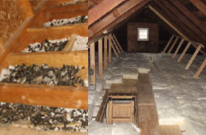 Pinnacle-Pest-Attic-Rats-Before-After