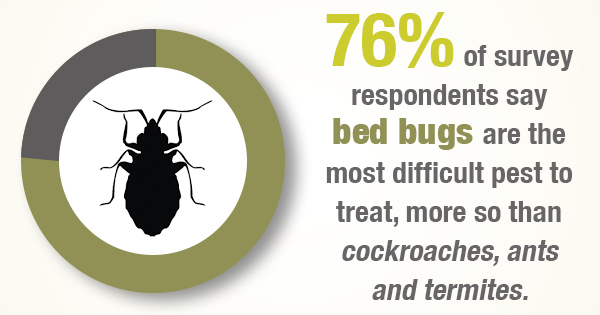 Sacramento Bed Bug Exterminator | Pinnacle Pest Control